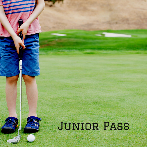 Junior Membership Pass (13 to 16 Years Old)