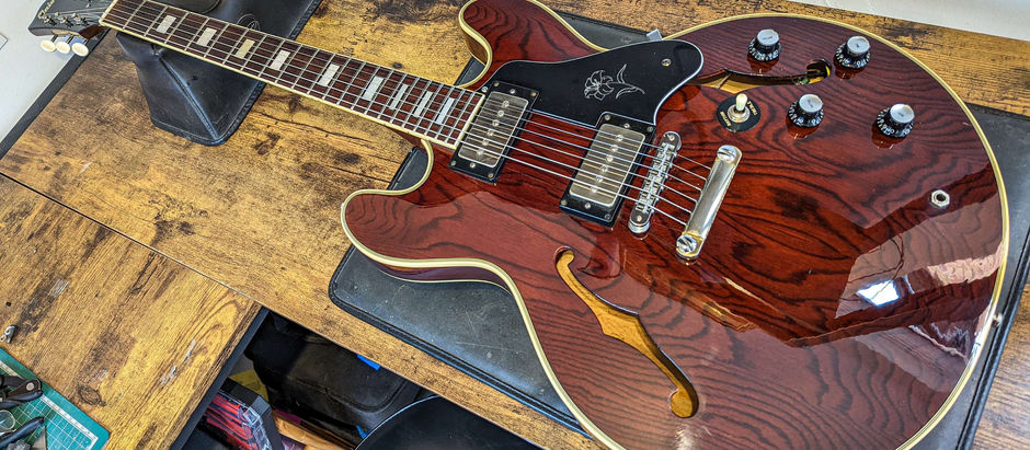 Fretbuzz Service/Setup + Custom Pickguard - Maison 620