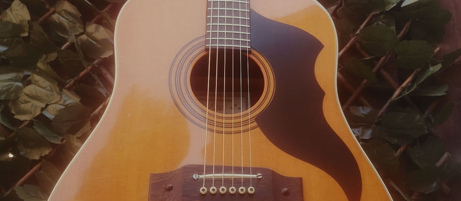 Fret Dress + Setup On 1970's EKO Ranger