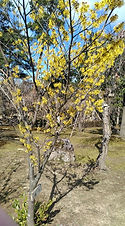 20210307_02.jpg