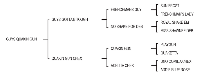 Lot 978 - Guys Quakin Gun.png