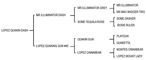 Lopez Quakin Dash.jpg