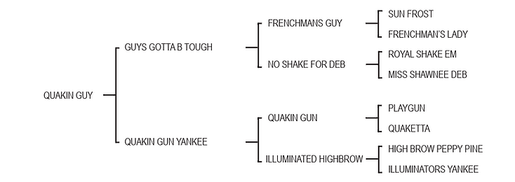 Lot 980 - Quakin Guy.png