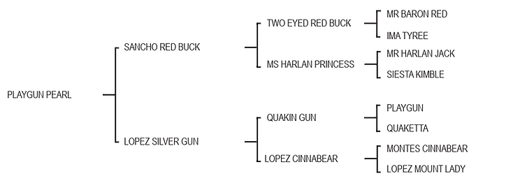 Lot 968 - Playgun Pearl.png