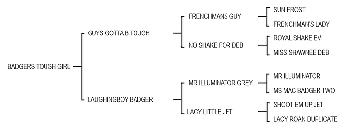 Lot 983 - Badgers Tough Girl.png