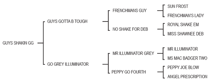 Lot 982 - Guys Shakin GG.png
