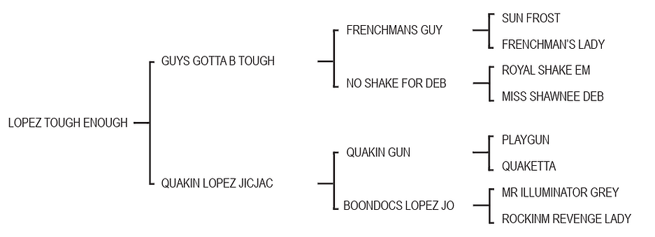 Lot 984 - Lopez Tough Enough.png