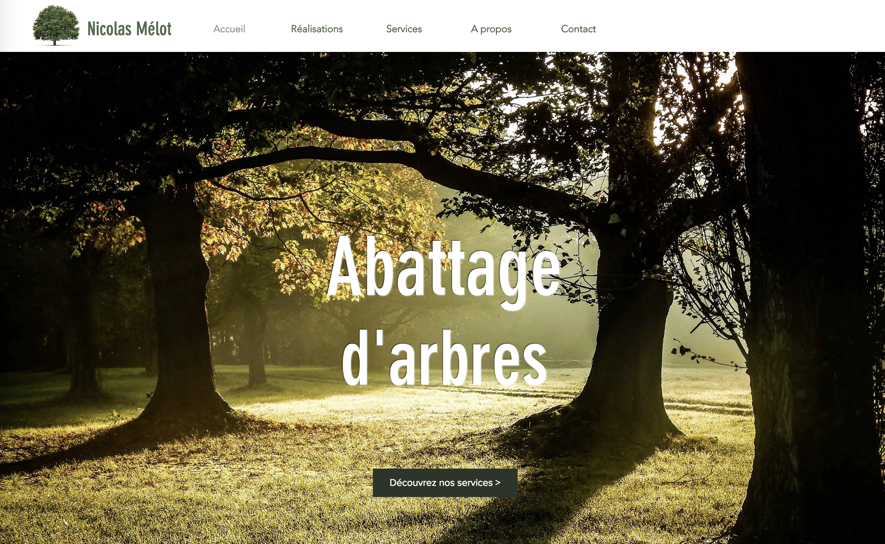 Abattage d'arbres Nicolas Mélot