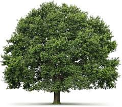 Nicolas Mélot Entreprise