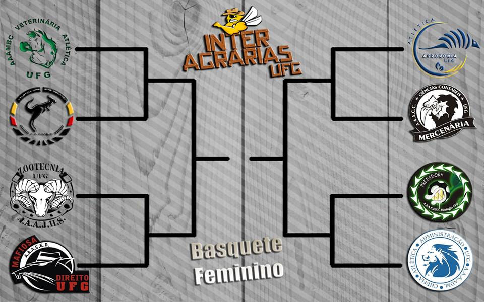 Basquete Feminino