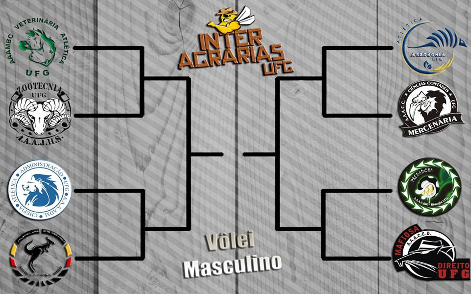 Volei Masculino