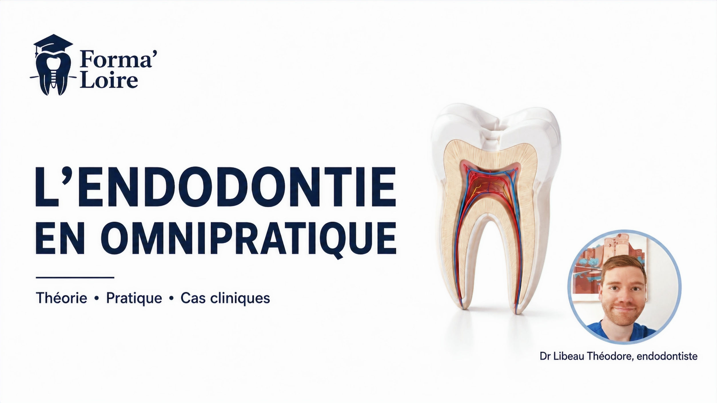 Formation L'Endodontie en Omnipratique (8 Octobre 2026)