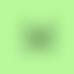 Kalariyapattu: India's Ancient Martial Jewel
