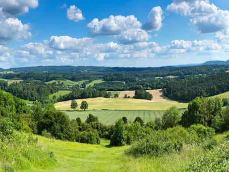 Surrey AONB