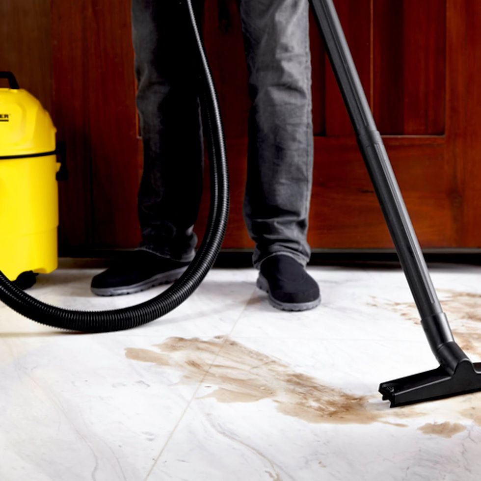 Thumbnail: Wet and dry vacuum cleaner WD 1 Home