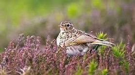 Thought for the day 28 May 2020