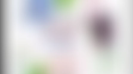 Fairwarp Echo - May 2017 Cover Winner