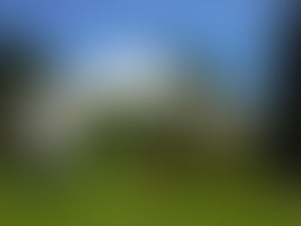 Beurles - A House on the Forest