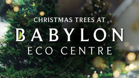 FCS update - 22 November 2023