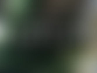 FCS update - 22 November 2023