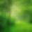 calm nature image with in shade of green_edited.jpg