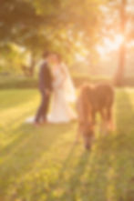 Shelby&Kelvin 131116