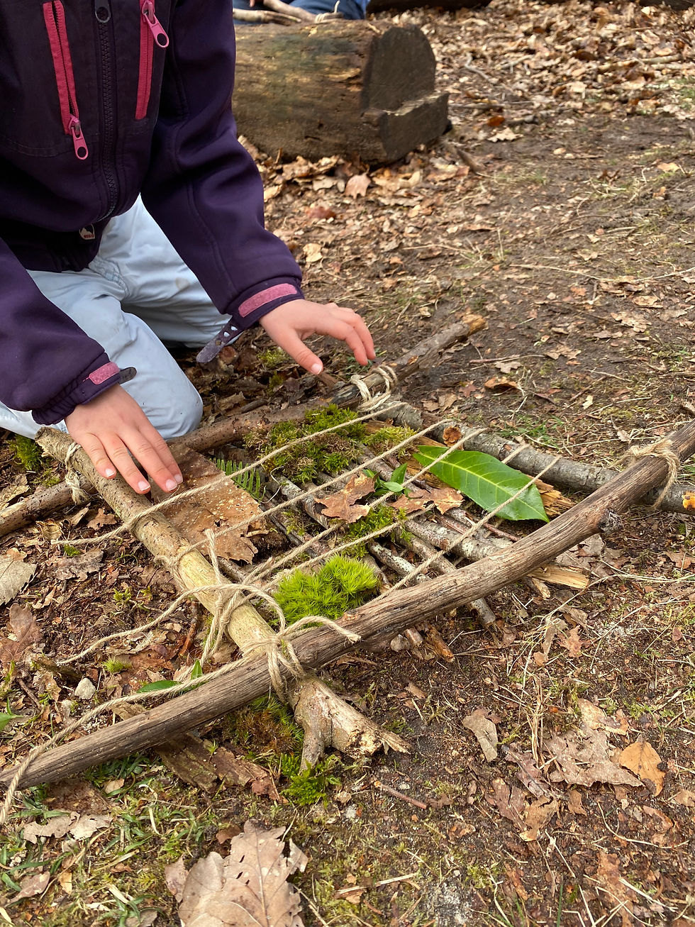 Ecole les Petites Ruches - Forêt
