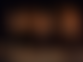 Le porteur d'histoire