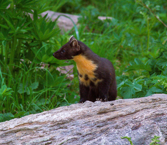 DSC_0002_edited.jpg
