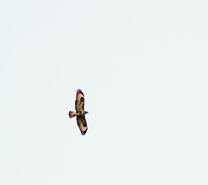 DSC_0010_edited.jpg