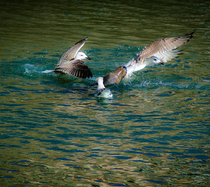 DSC_0039_edited.jpg