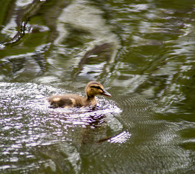 DSC_0016_edited.jpg
