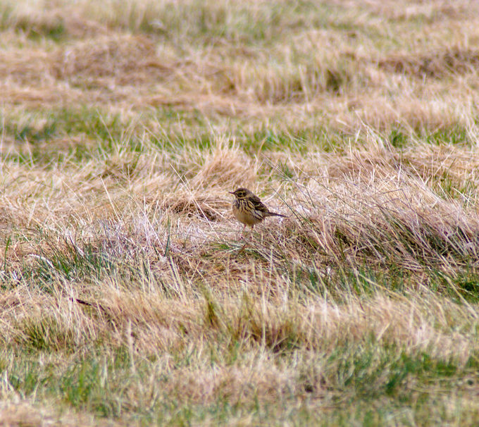 DSC_0012_edited.jpg
