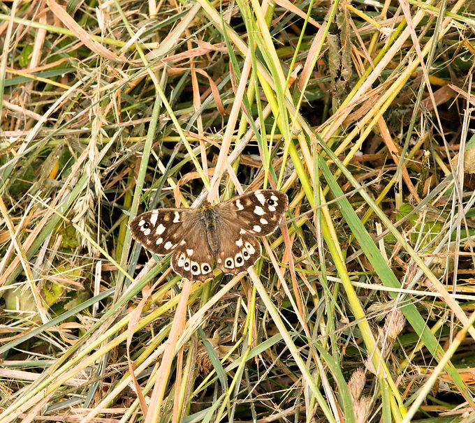 DSC_0004_edited.jpg