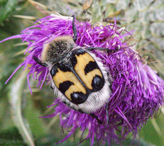 DSC_0017_edited.jpg