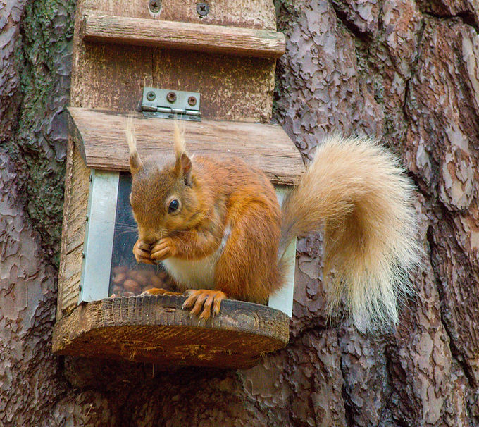 DSC_0014_edited.jpg