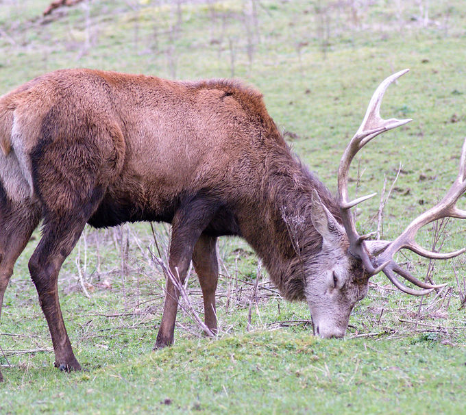 DSC_3336_edited.jpg