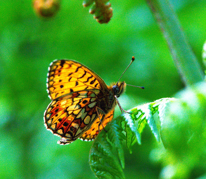 DSC_0019_edited.jpg