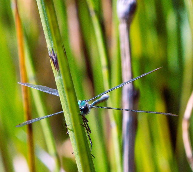 DSC_0056_edited.jpg