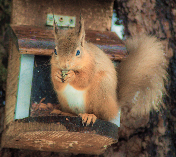 DSC_0014_edited.jpg
