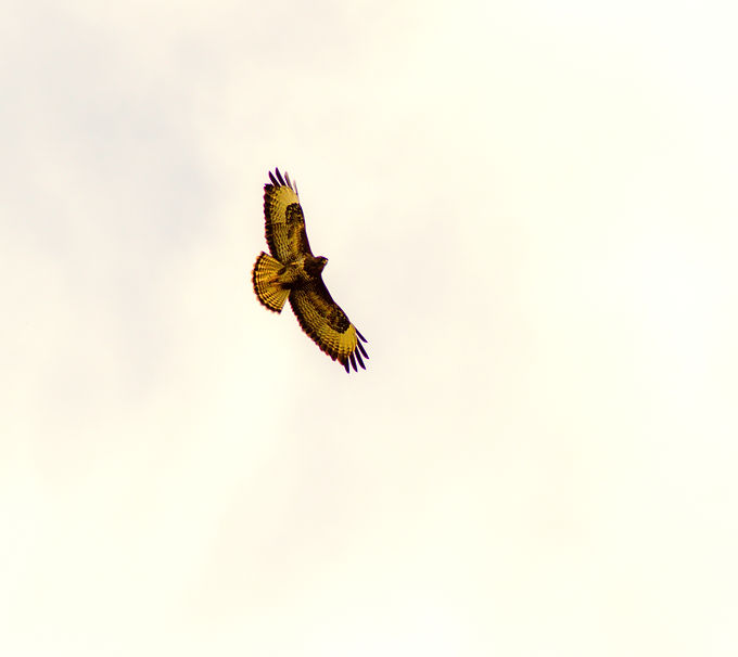 DSC_0006_edited.jpg