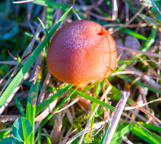 DSC_0016_edited.jpg