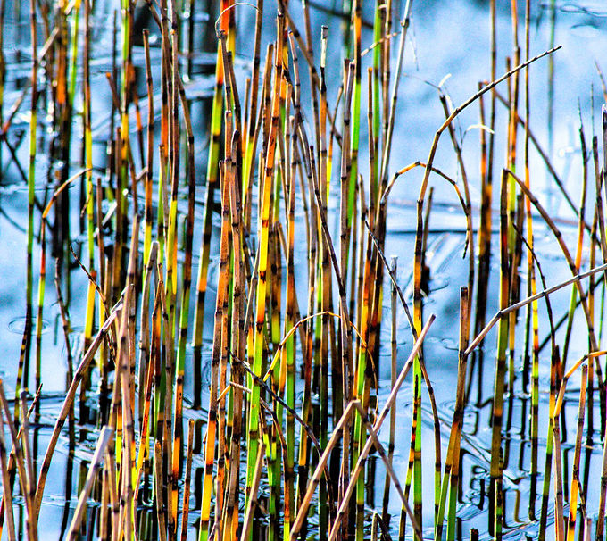 DSC_0001_edited.jpg
