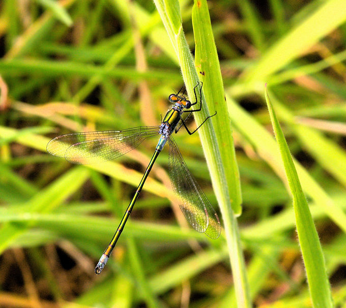 DSC_0016_edited.jpg