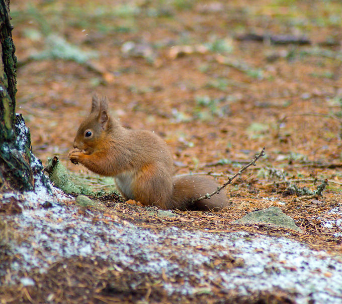 DSC_0028_edited.jpg