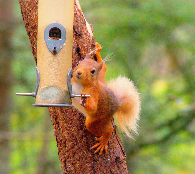 DSC_0011_edited.jpg