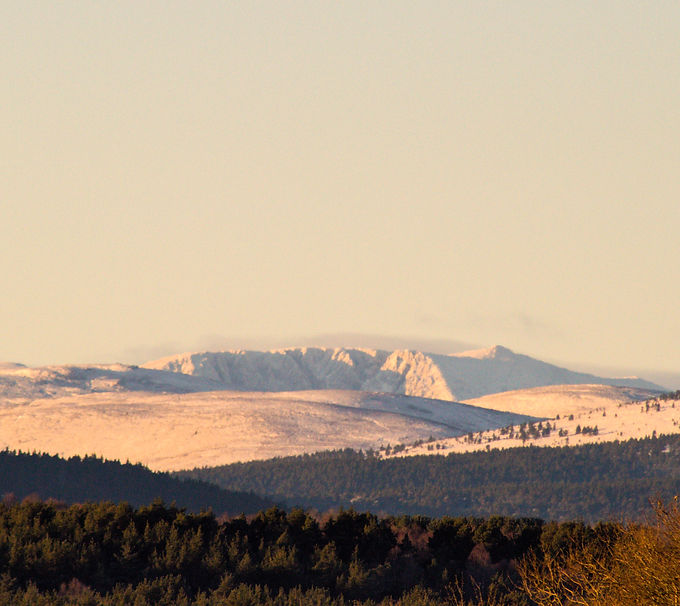 DSC_0006_edited.jpg