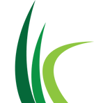 CC Grass.png