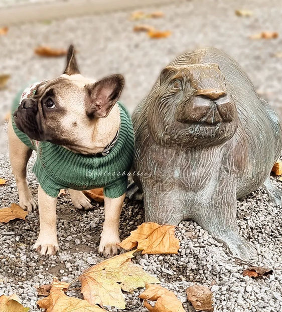 Züchter mit Verstand