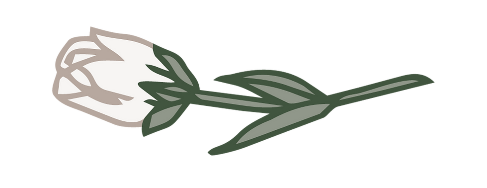 ChiEpsilon75Years-carnation-04.png